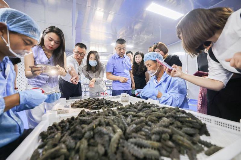 团餐配送行业新动态：疫情下的灵活应对与未来趋势